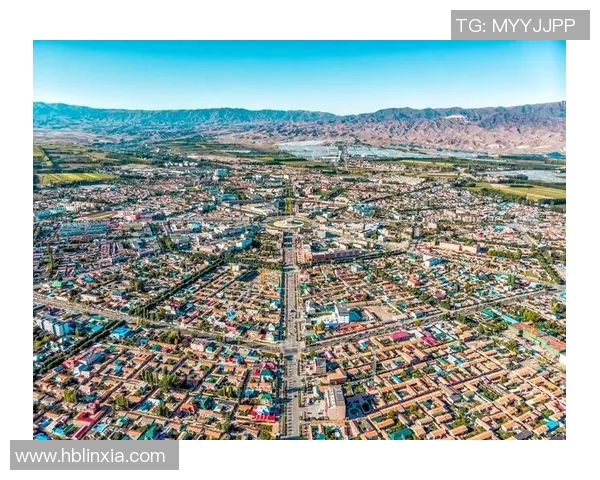 五年纵览篮球八卦数据演变全景揭秘全面升级与进化趋势