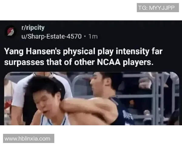 NBA 季后赛裁判判罚倾向对比赛公平性影响研究