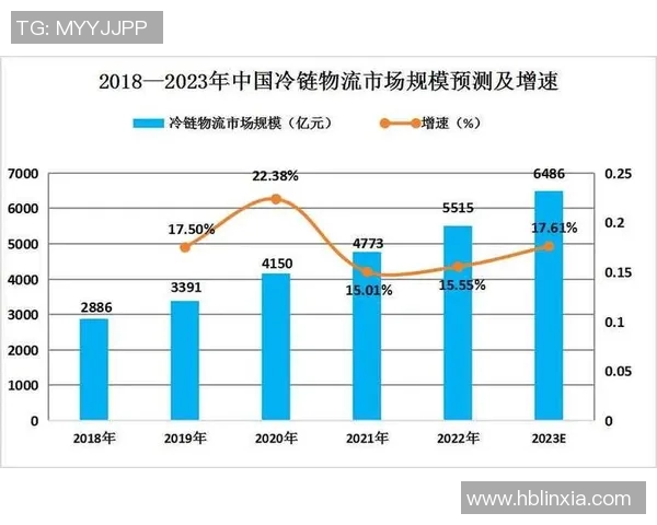 深度解析火箭队现状剖析与未来发展趋势全面预测